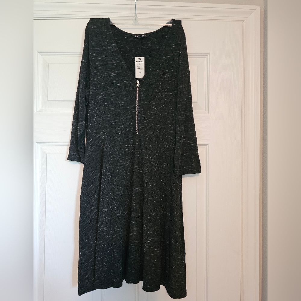 NWT Express Dress with Zipper. Medium